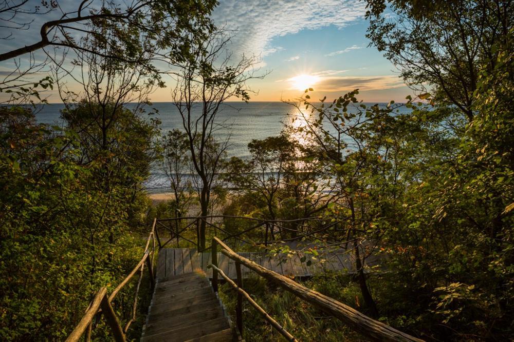 Vita Rama Holistic Hotel And Retreats - Vegan Full Board Obzor Extérieur photo
